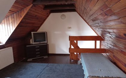 Domki_letniskowe_nad_jeziorem_Slask (40)